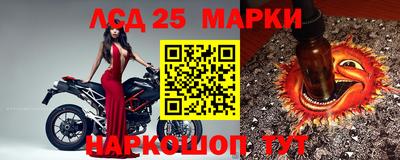тгк Моздок